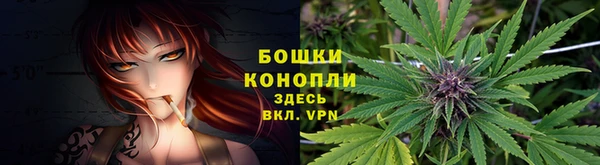 каннабис Арсеньев