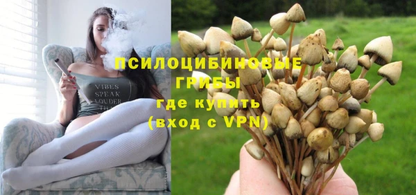 а пвп мука Аркадак