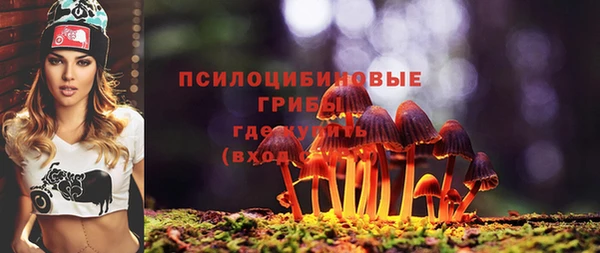 каннабис Арсеньев