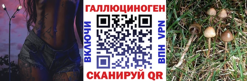 Галлюциногенные грибы мицелий  Островной 